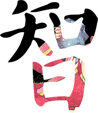智