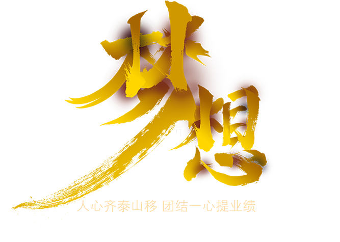 梦想