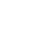 志