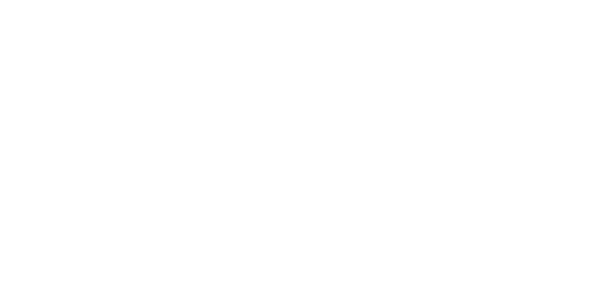 追光的日子