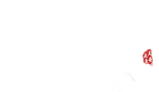 大主宰