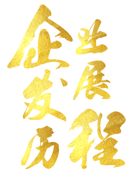 企业发展历程