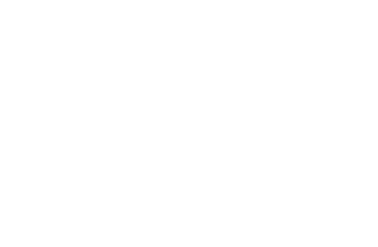 致敬